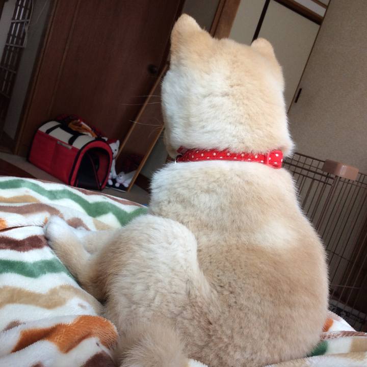 Ea00e53e a0e8 4791 9c0c ea93bd322530