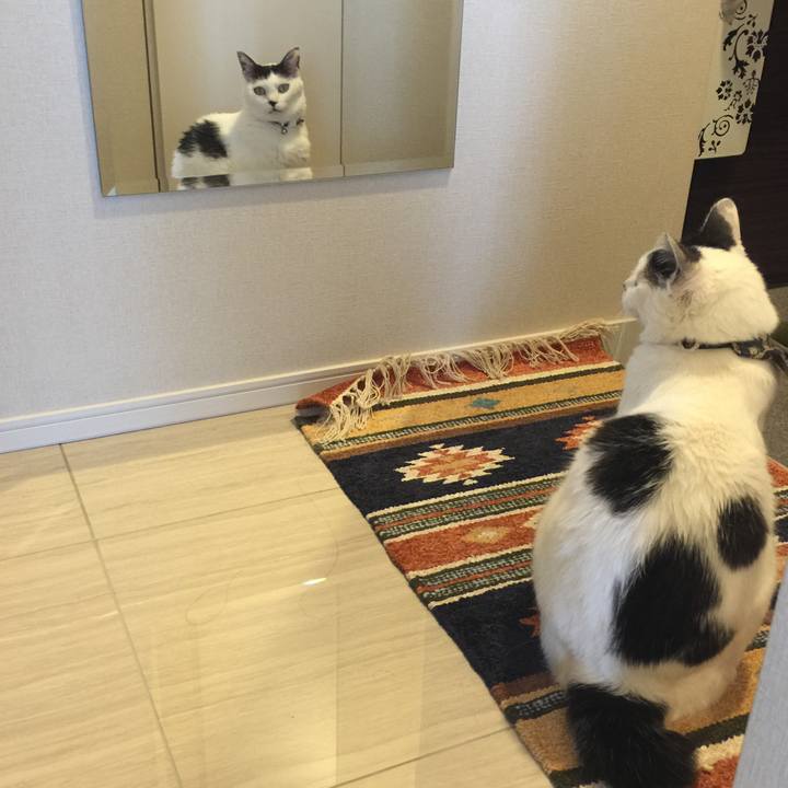 Ea010df5 a3c8 45f3 bc51 7e88f6e2b058