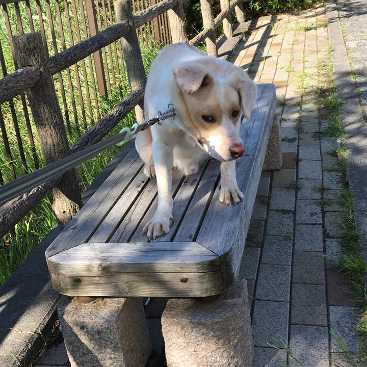 Ea01302f a6f6 470b beaa 0c0ea3d8a779