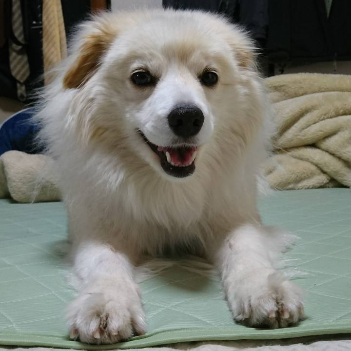 Ea013592 ce04 4173 bdd2 1749080dfb74