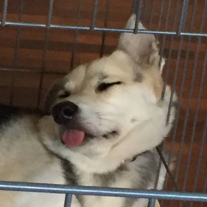 Ea01404d 532a 4293 a499 47f82e688f39