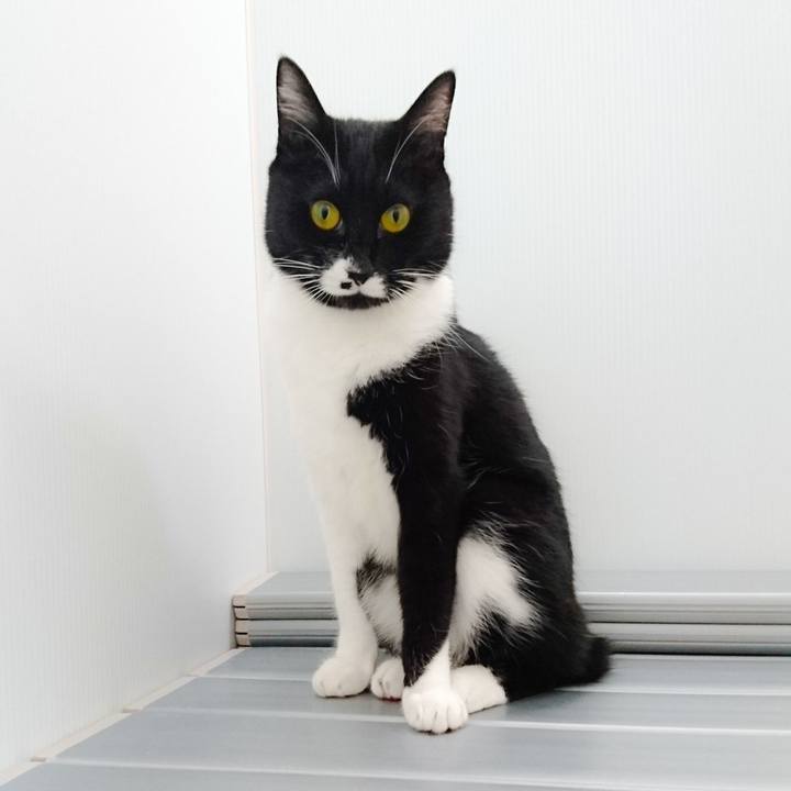 Ea014b7a a8b6 4435 af18 56e4e9e43765