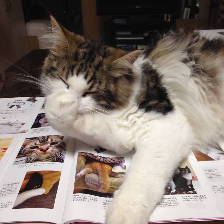 Ea017e57 c79c 45af bcff e16e84ee61a5