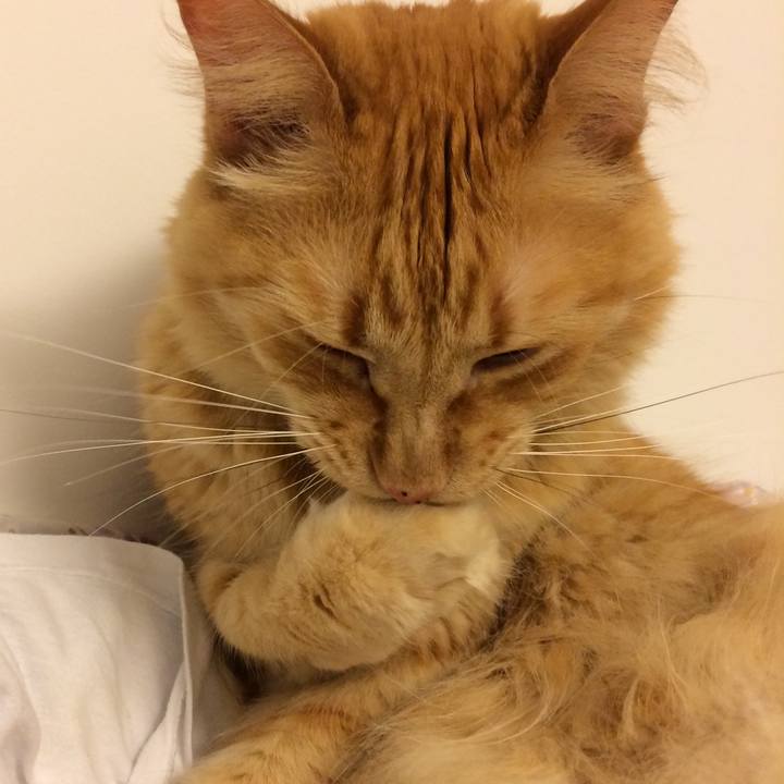 Ea018638 3b84 432a 93e4 93a12d019dc5