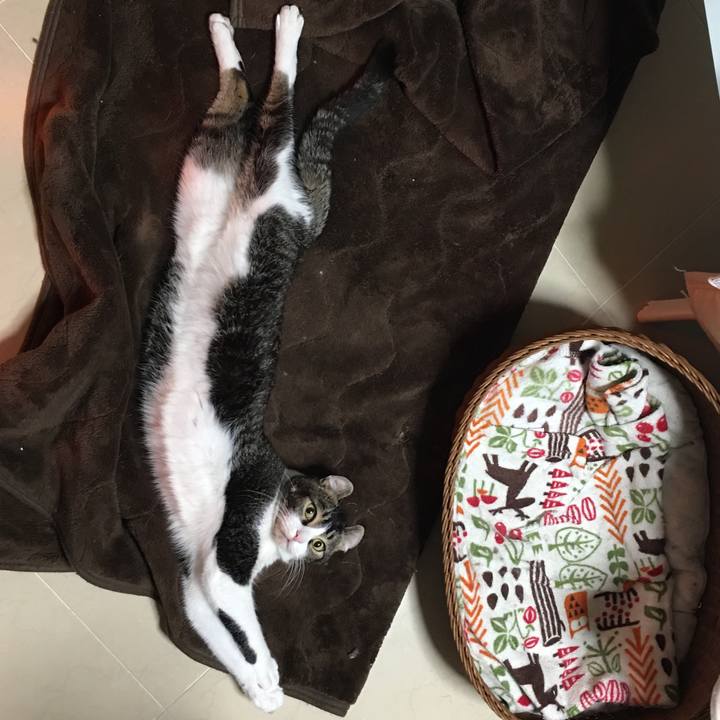 Ea019b8d 4db8 477d b9a3 9f1837dafa53