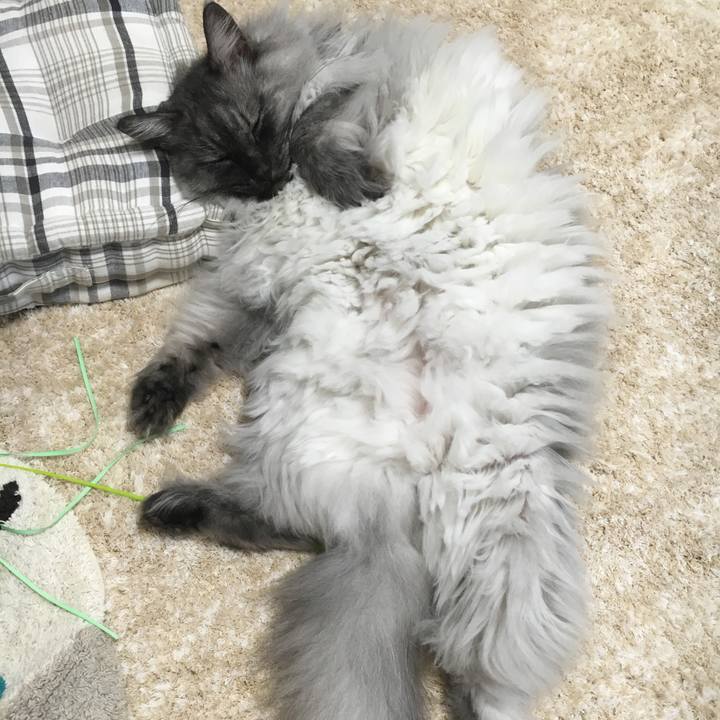 Ea01b2b4 1a84 43e8 8dbd 1e1ae38d5b5c