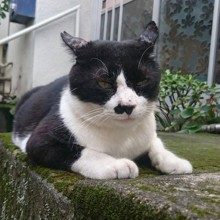 Ea01f363 6807 4fea 9dfd 3bad6b5d1091