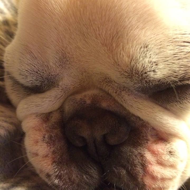 Ea0259de c47e 41e1 a032 7e93fdeba0cb