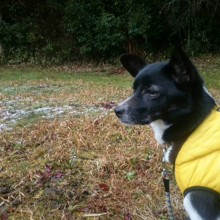 Ea02e979 25e4 4e7e a2dc 15c97ace8163