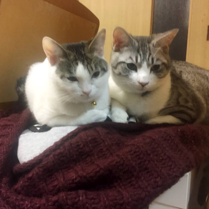 Ea02f8c9 4420 44f0 942b 84191e9e873f