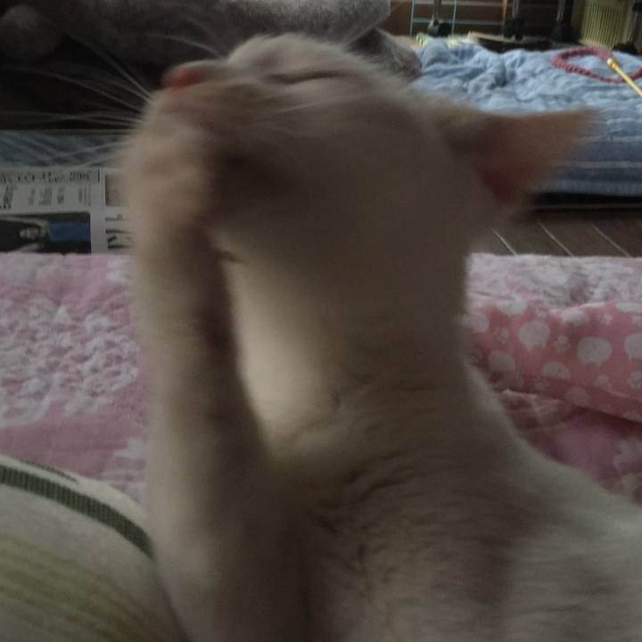 Ea02f935 bb56 4f0e 9419 5f3b321f8dbf