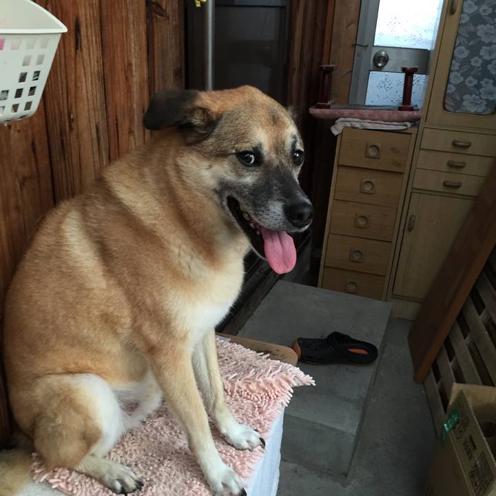 Ea032973 226f 4fe7 bd91 65f2dd26bc4e