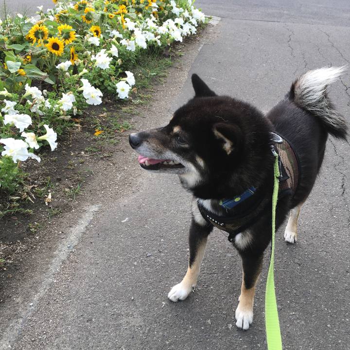 Ea035b2a 543b 48f7 8fa8 fa985e4c1404