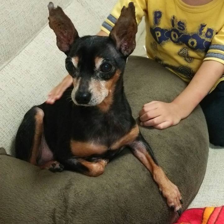 Ea038cdf 9ba4 4c2d 808f a4e3ce457fb4