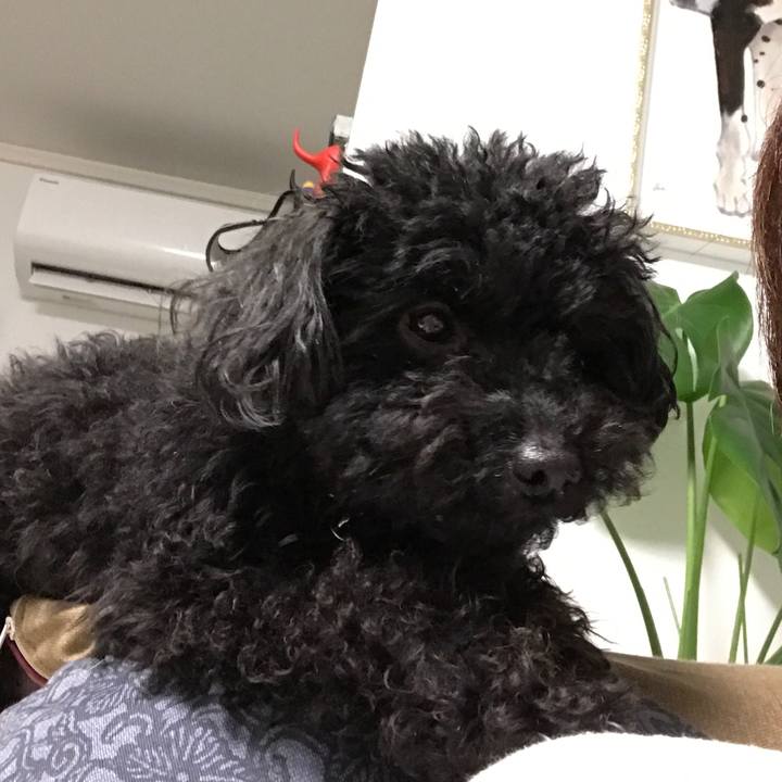 Ea038d26 1689 4360 94b9 fb30a917b359