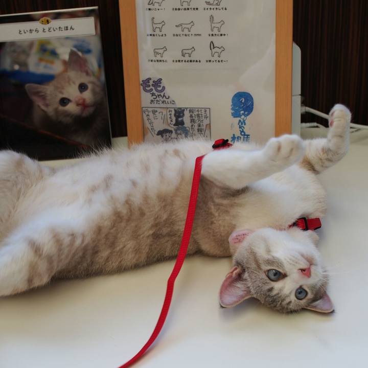 Ea045b0a 1f30 4837 9f02 1f1a8c17b7dd