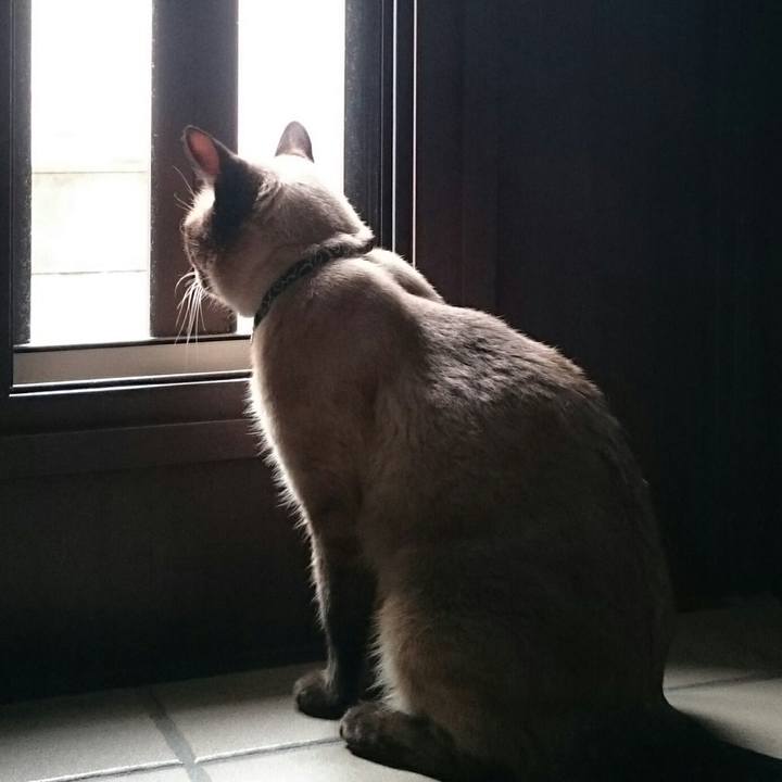 Ea04a6b3 b2a1 4756 b01b a5b1aae07f17