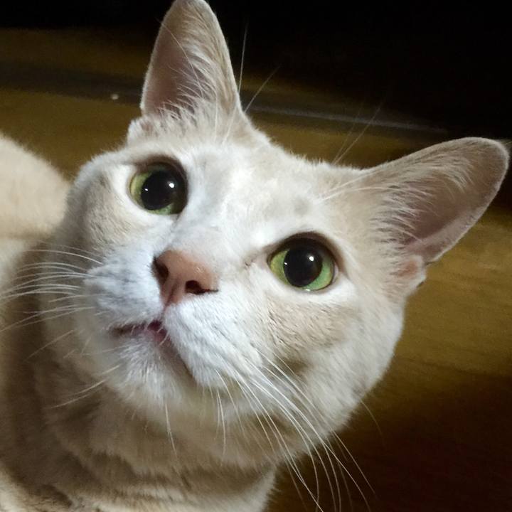 Ea050446 e5af 4192 9ed3 1dc35399e845