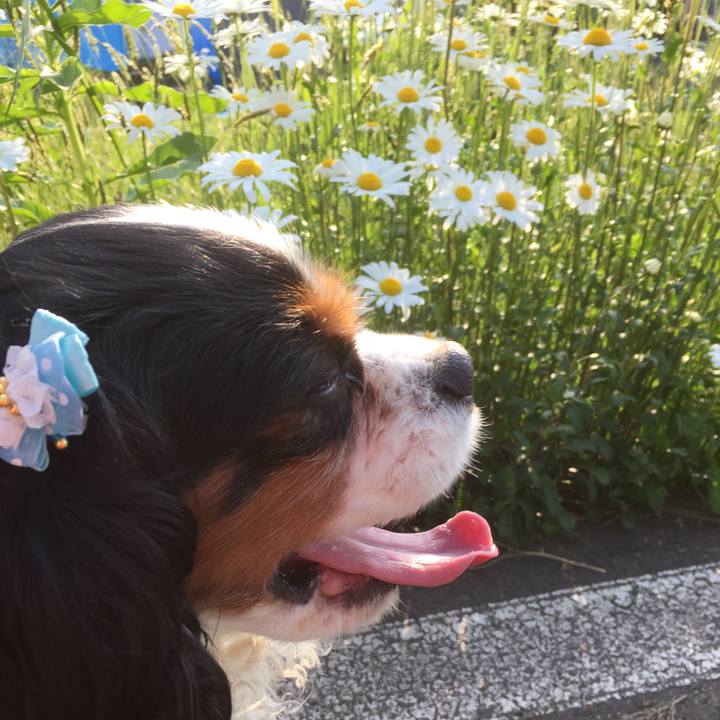 Ea062fdd b45e 4488 b057 762987b97ab3