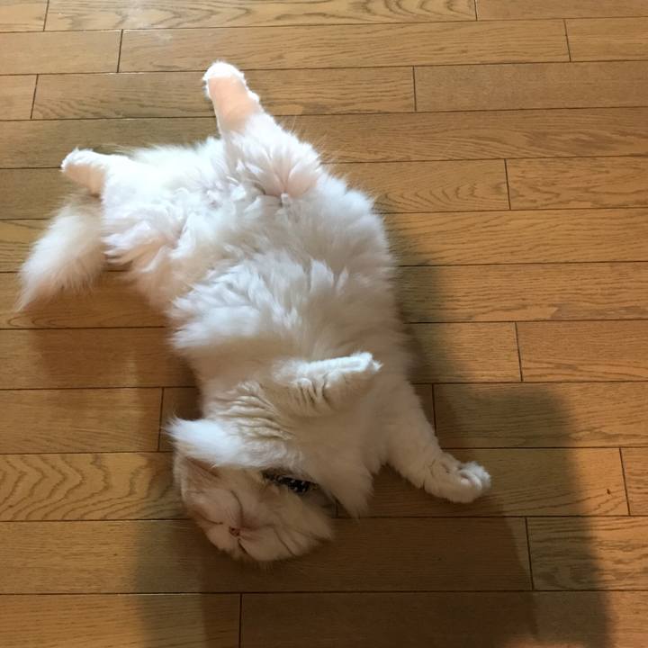 Ea06cb58 bb93 45c1 8053 c3755cf81f60