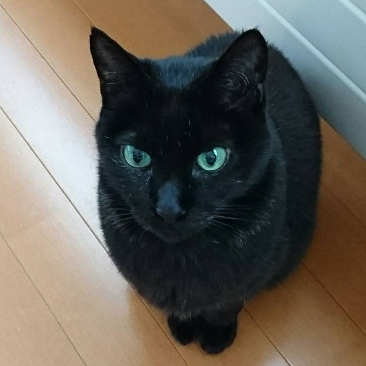 Ea0728a7 718e 4bcf b810 4b89ae150a9a