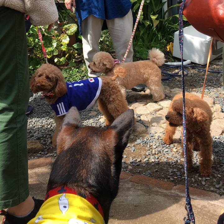 Ea074c73 c6f8 415e 820b babfe1268321