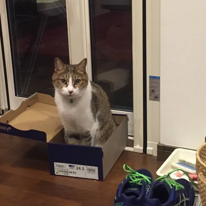 Ea078472 9c92 43b2 b4d8 e7cd6fad48a8