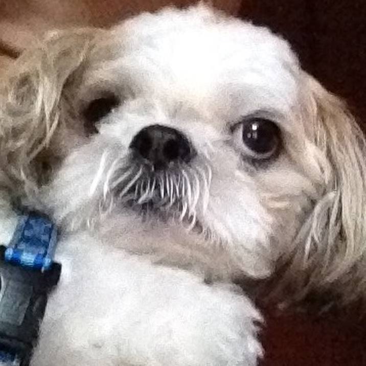 Ea078f55 e6e3 43e7 b89e e50189e5c8a5