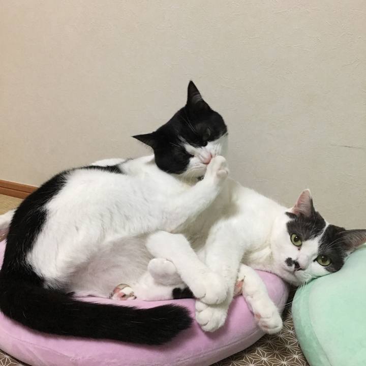 Ea08b9a8 4c4f 45bd a09f 9318ddbcad44