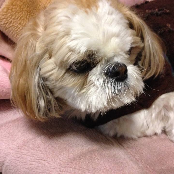 Ea097bfb 7dbd 4fde 81e1 40d49c5de17e