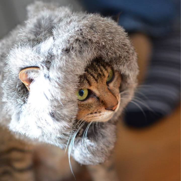 Ea09de8d b0d7 4a4b 91a4 f3ef0ced323c