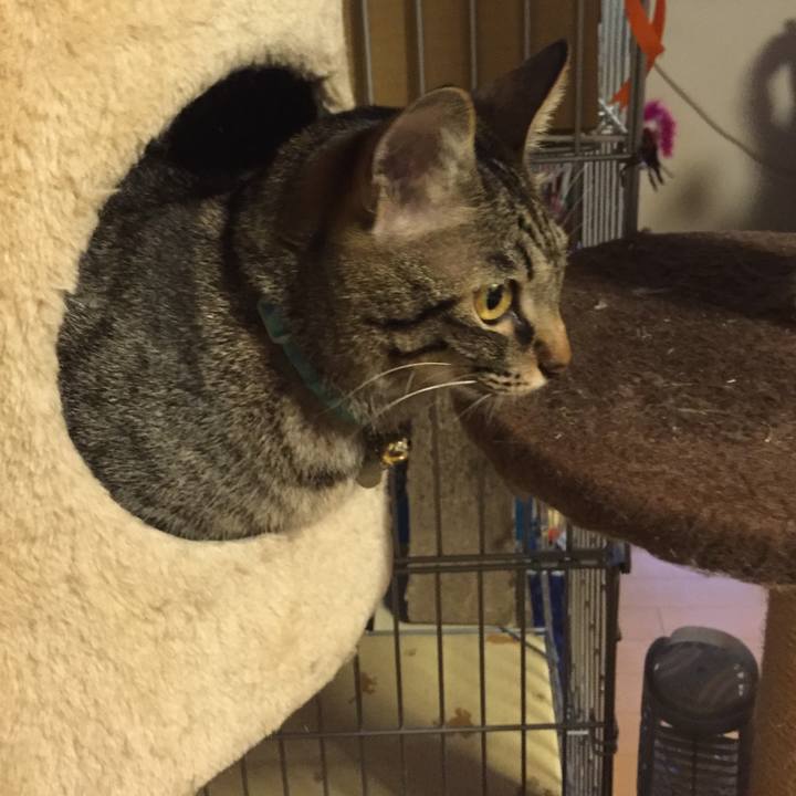 Ea09e6b6 81e8 4a9a bf4d 53cbafd62117