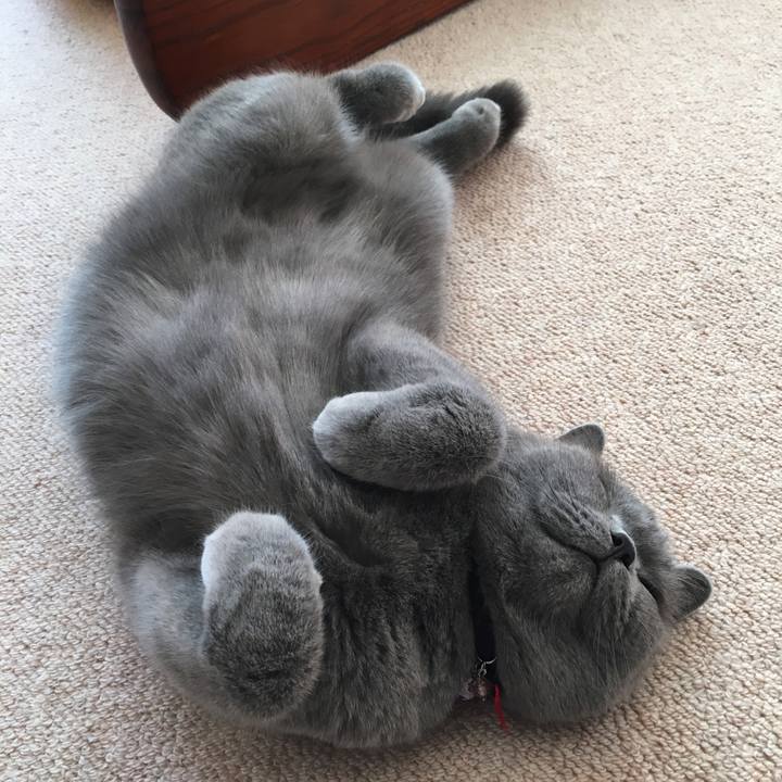 Ea0a3cbf 0509 4c44 8d7b 0fdc3677e187