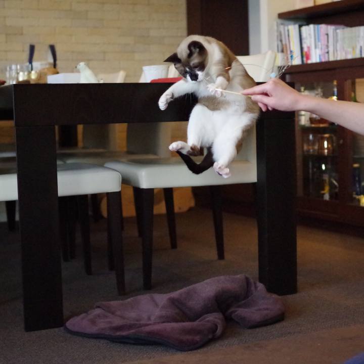 Ea0a4af7 9398 40b5 840f d1ff14e8c26c