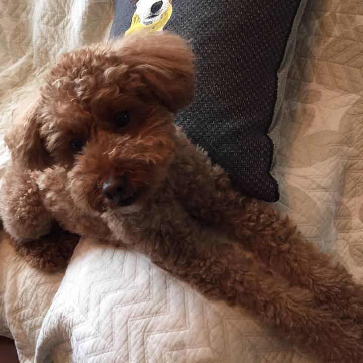 Ea0a8cc8 58de 4d17 bd43 85bc448f6188