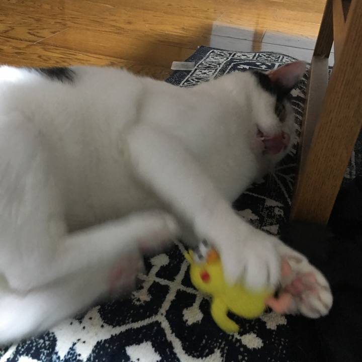 Ea0c0623 f1ba 4f67 827e 64b06697aed9