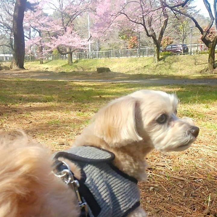 Ea0c2a3f baa9 44d5 8801 41895537f20f