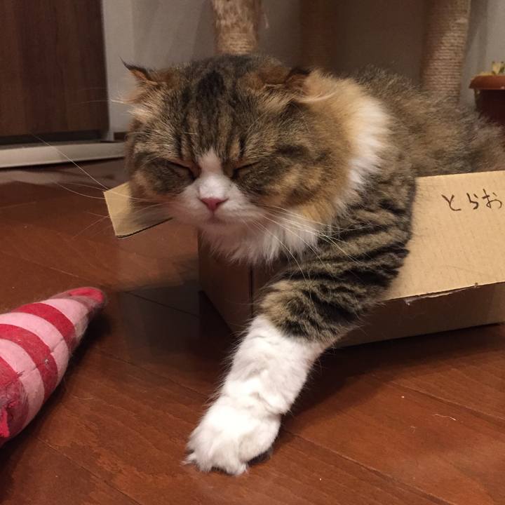 Ea0c3cd1 3380 475c a8b7 239503c68f20