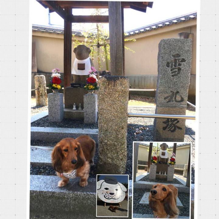 Ea0c6f37 83d4 4047 b06e 19532e1f74f0