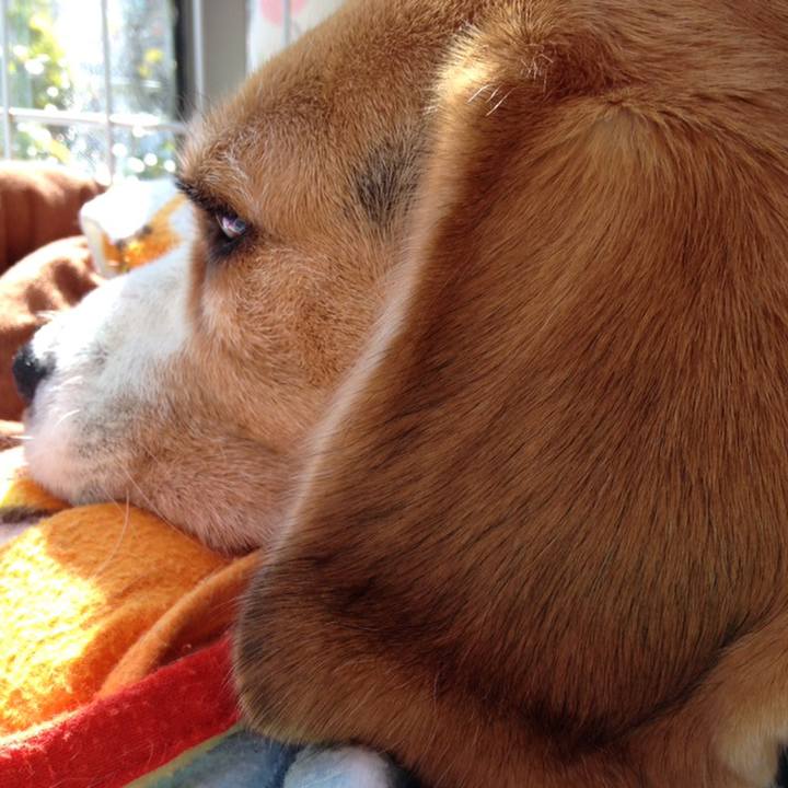 Ea0d236a acc1 46c9 b7bf 1d83a4425551