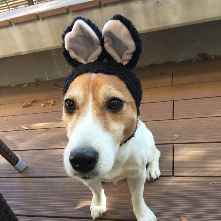 Ea0e32de 718e 41e5 9fe6 6f3926e93418