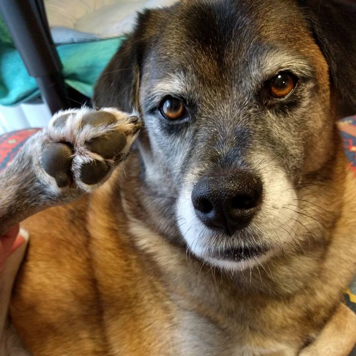 Ea0e3654 b056 4cea 86d2 8473715975b3