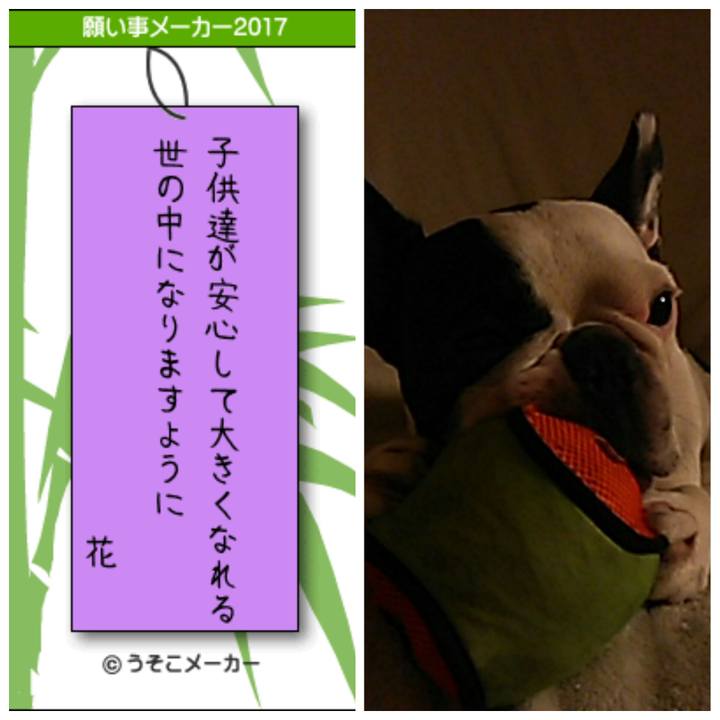 Ea0e7017 8922 40e7 b4f1 fdb5c9257e82