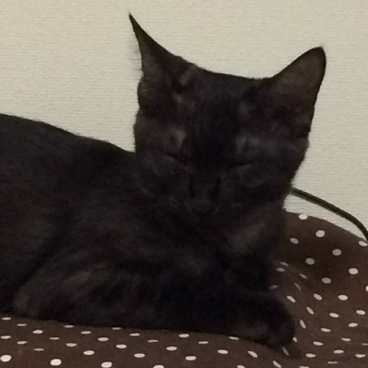 Ea0e910b 7827 4430 84ac 3c19e491ad0e