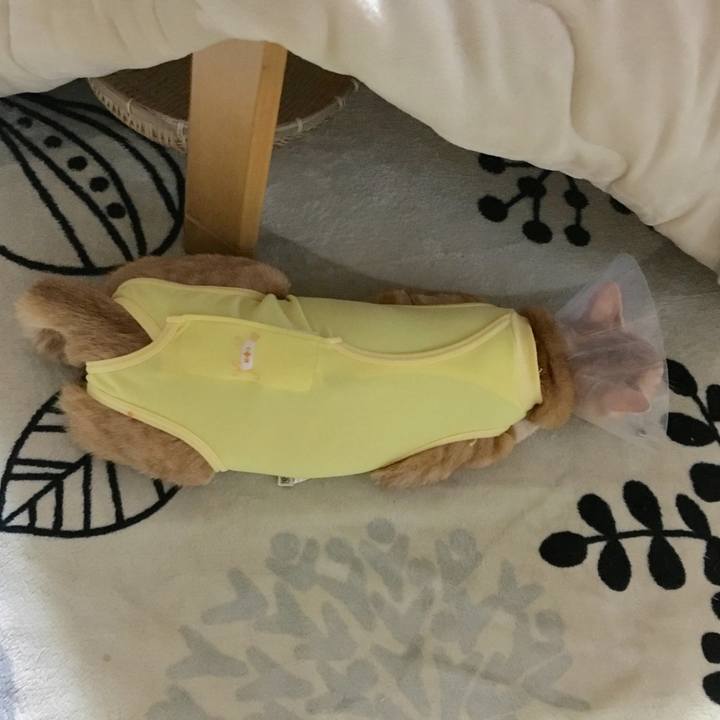 Ea0f2cae 8ea4 4d47 bcb3 4d9f846b8f6e