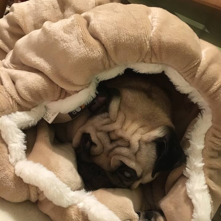 Ea0f4efd bbe6 4a93 804b 77441a4470d0