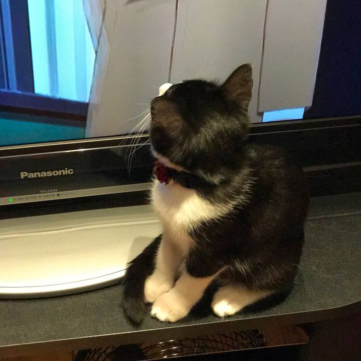 Ea0fb2fc 90fe 461b bfdb 0079500b2562