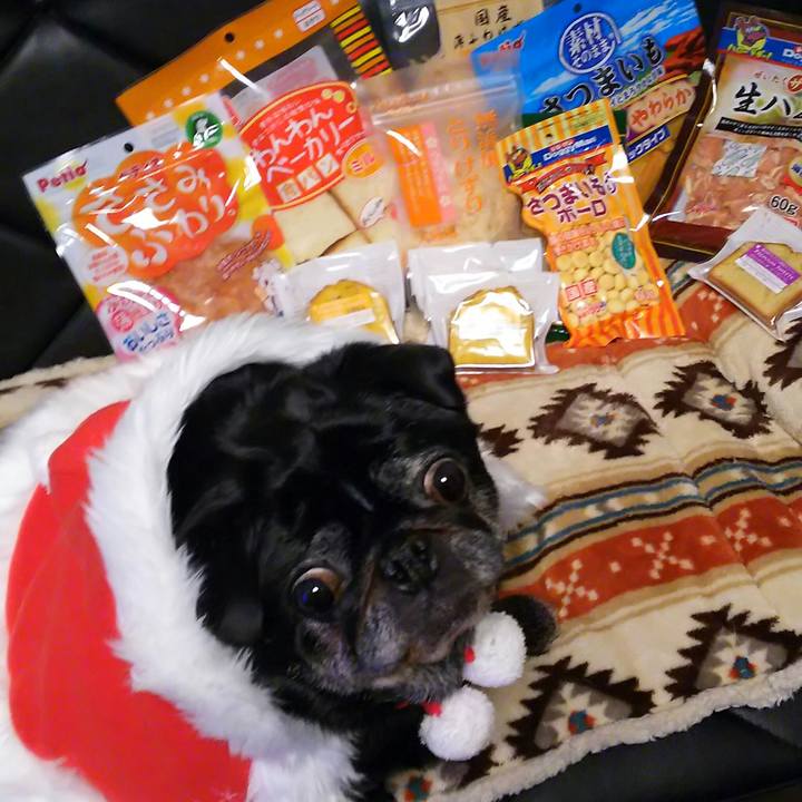 Ea1005b7 a679 49ae bb48 631c27c4a969