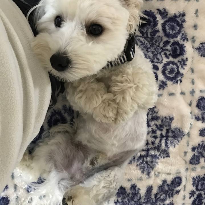 Ea10a405 fd9c 49c1 97c7 0577f30b2fdf