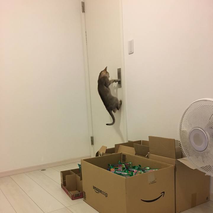 Ea112752 18a2 4b03 bbed 878597ec3071